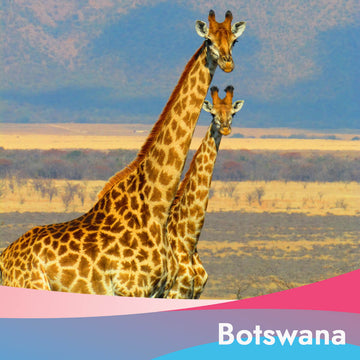 10GB Data eSIM in Botswana